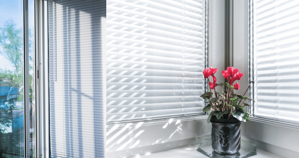 SUNSCREEN ROLLER BLINDS